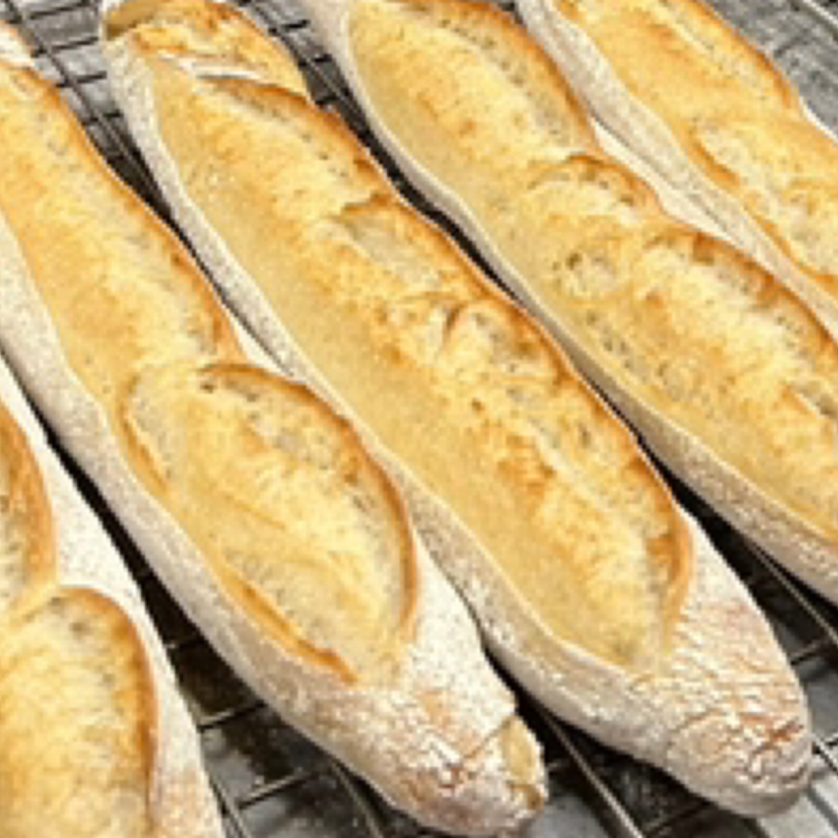 Tradition Baguette