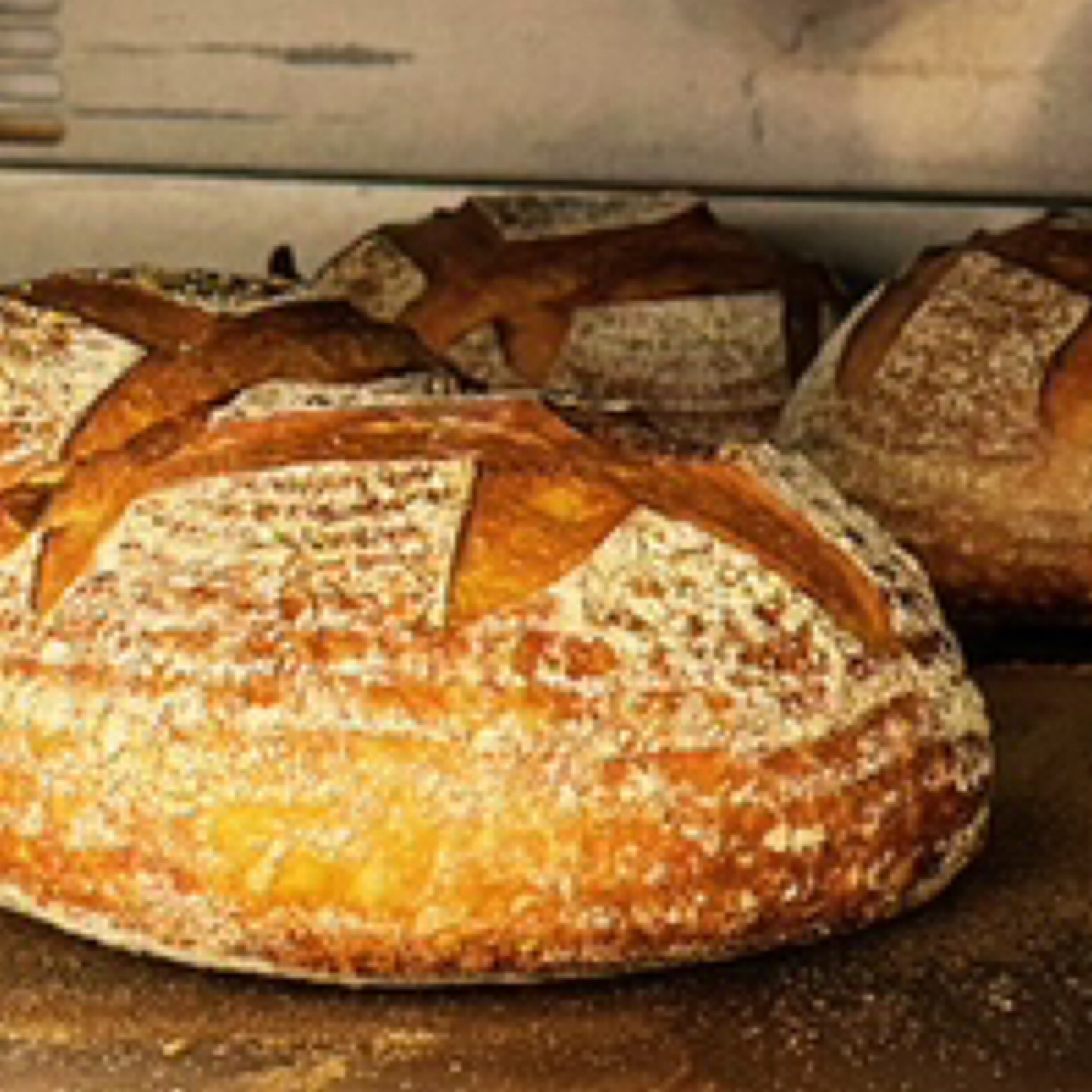 Sourdough Loaf